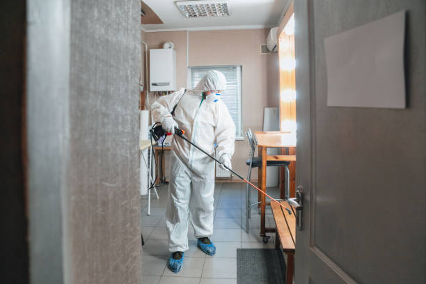 Best Mold Removal for HVAC Installations  in Howard Lake, MN