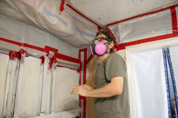 Howard Lake, MN Mold Removal Pros
