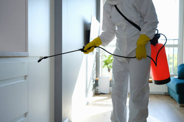 Best Attic Mold Removal  in Howard Lake, MN