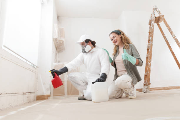 Best Post-Remediation Verification Testing  in Howard Lake, MN